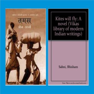 Book Cover: Kites will Fly: A novel