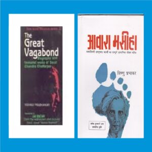 Book Cover: The Great Vagabond