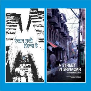 Book Cover: A Street in Srinagar